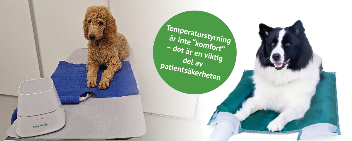 Hypotermi under anestesi – temperaturstyrning för patientsäkerhet