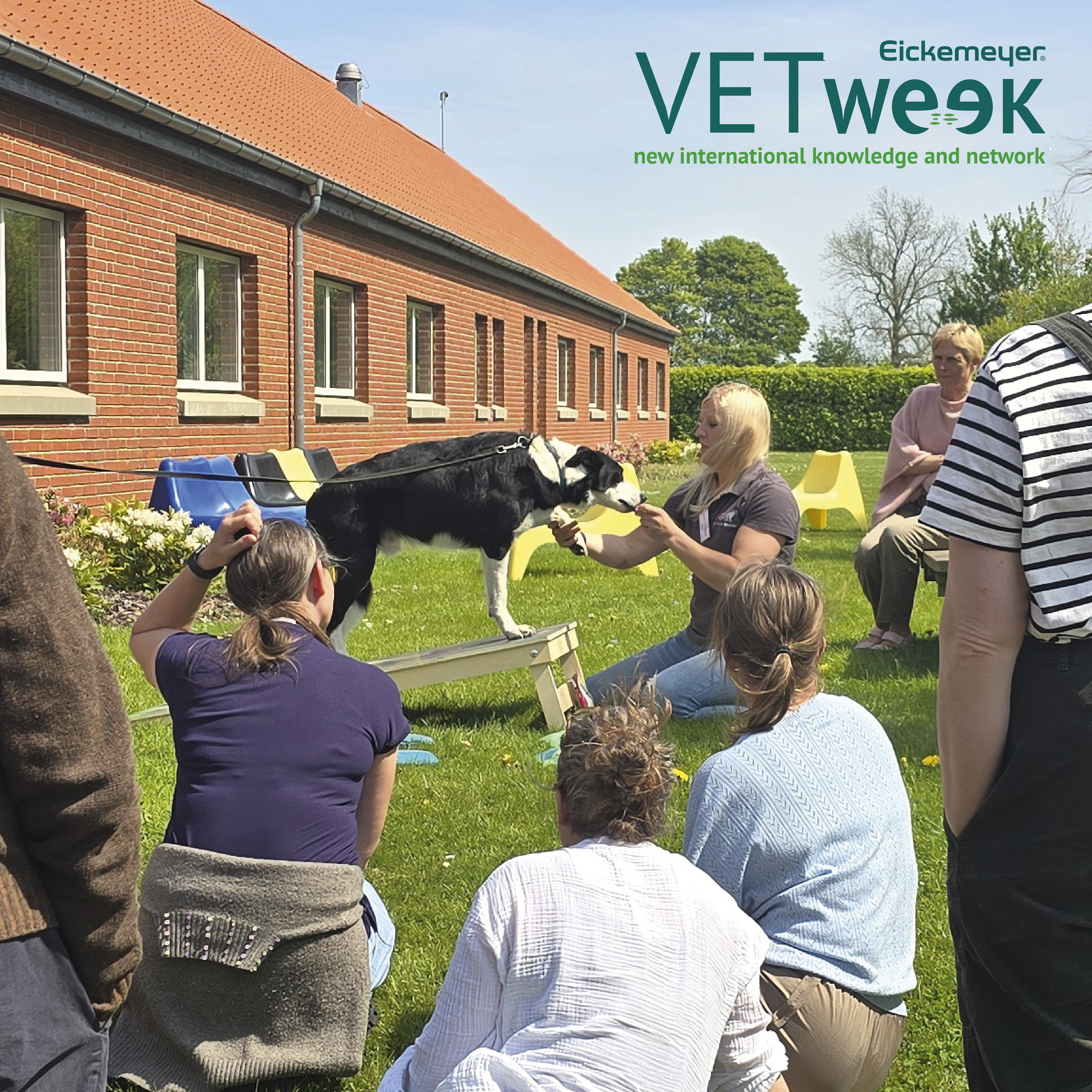 VETweek(2)