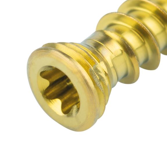 Titanium låseskrue multidirektionel, guld Ø 2,3 x L 8 mm