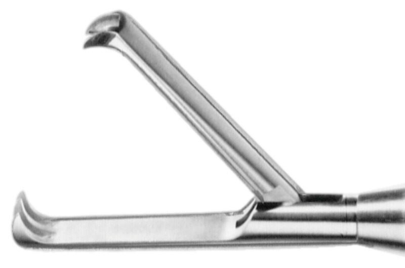 Klogribetang