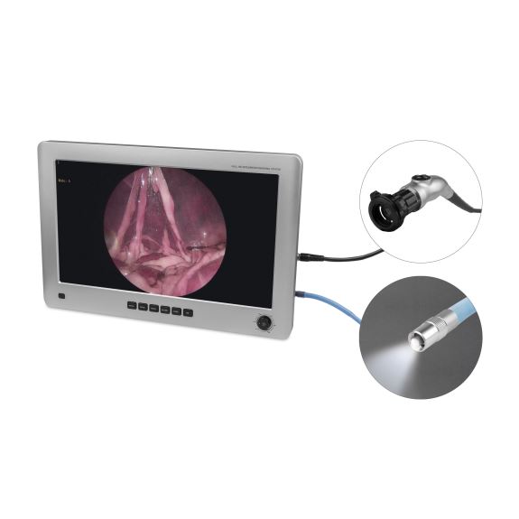 Endoskopi monitor, EickView 4-i-1