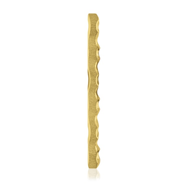 EickLoxx S-Type knogleplader til EickLoxx Large, guld