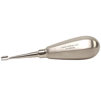 6 mm
