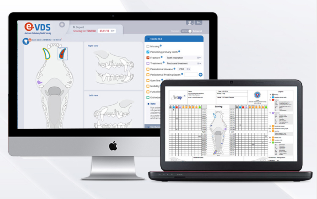2 års abonnement på e-VDS Plus